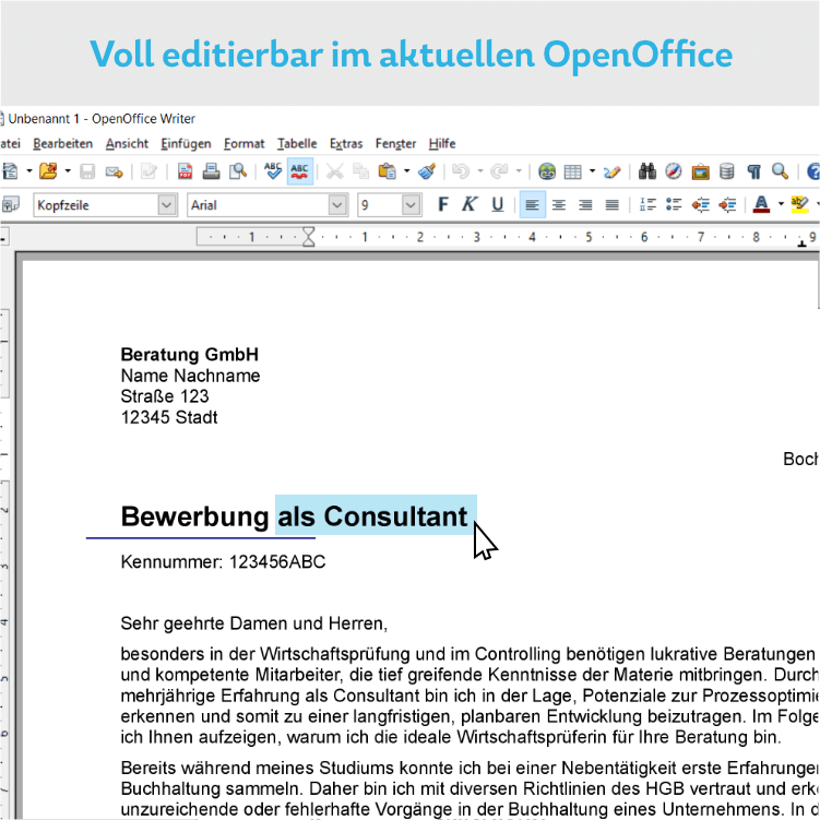 Professionelle Bewerbungsvorlage - Open Office - Voll editierbar
